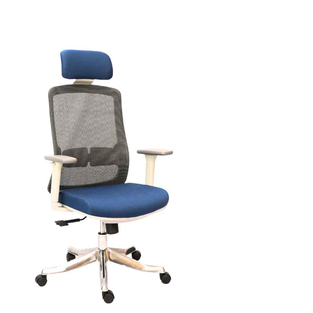 Premium  Executive Chair with Aluminum Octopus Leg (FT-H188A-1)