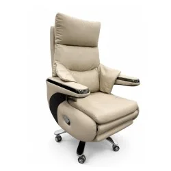 Wavex Electric Massage Boss Chair (AR13) Beige - Boss Chair | Furnitex