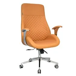Executive Luxury Chair (FT-H1906)- Beige - Office Chair | Furnitex